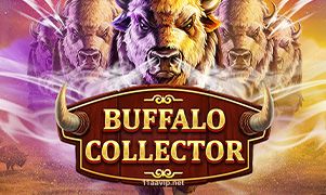 Buffalo Collector da 11a